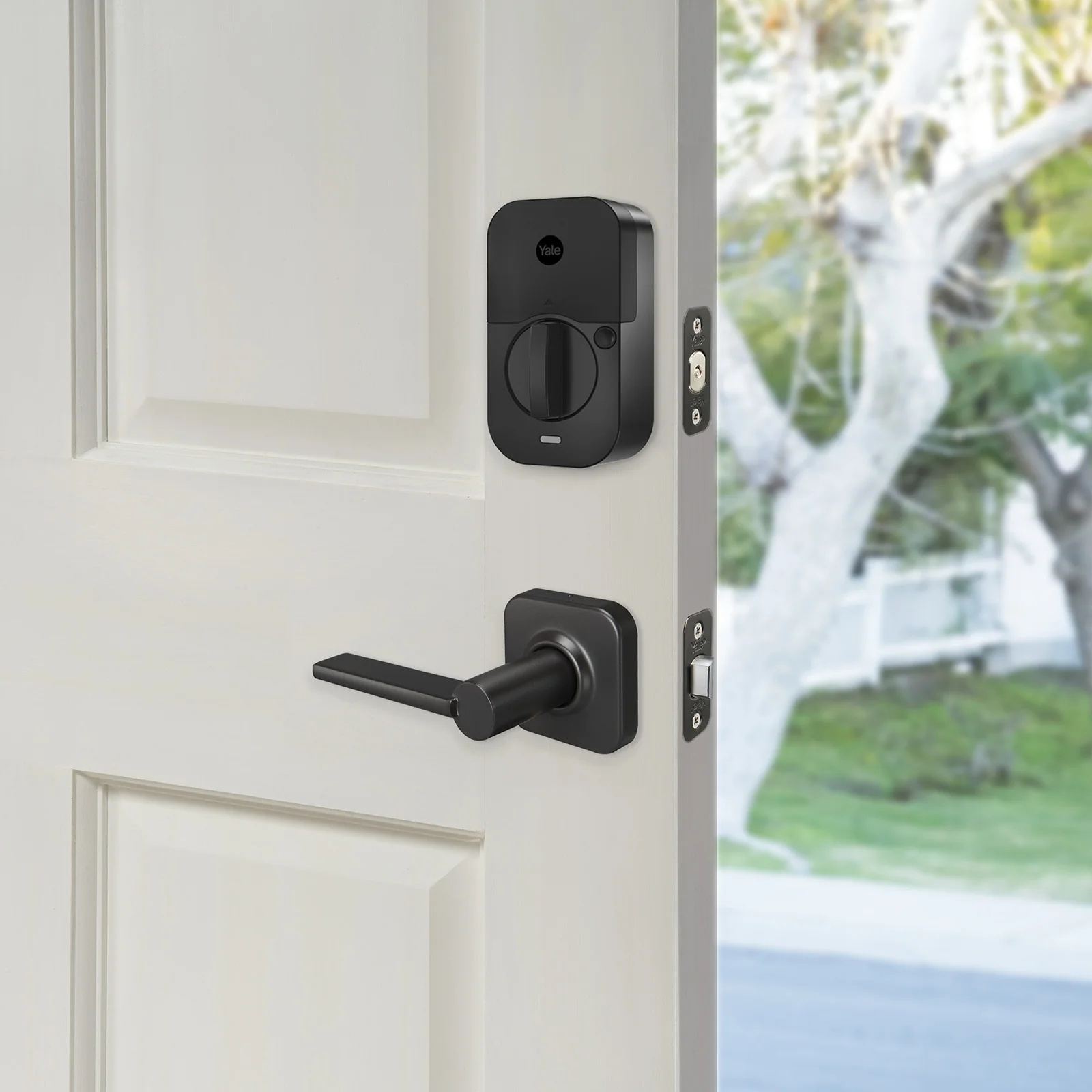 Valdosta Passage Lever (Non-Locking) - Image 6